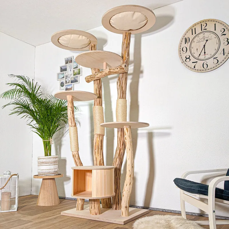 RESERVIERT - Naturkratzbaum 4419 Kratzbaum Natur Holz Design 210 cm hoch Katzenbaum