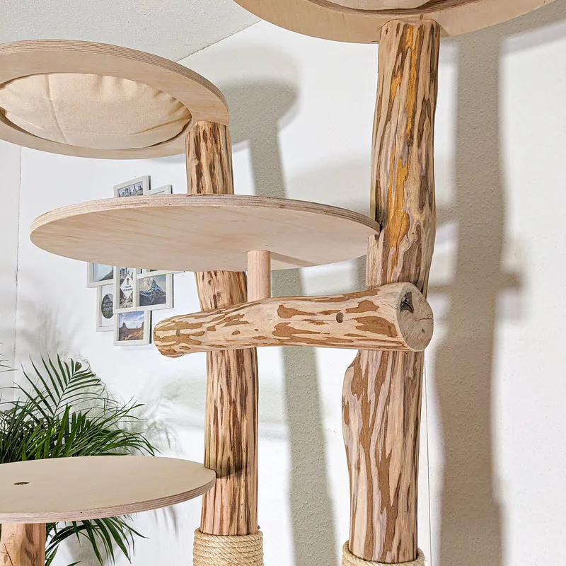 RESERVIERT - Naturkratzbaum 4419 Kratzbaum Natur Holz Design 210 cm hoch Katzenbaum