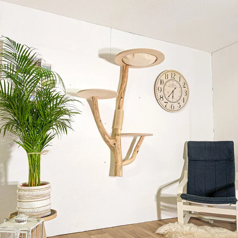 RESERVIERT - Wandkratzbaum 4392 Naturkratzbaum 142 cm Höhe Kratzbaum Natur Holz Design