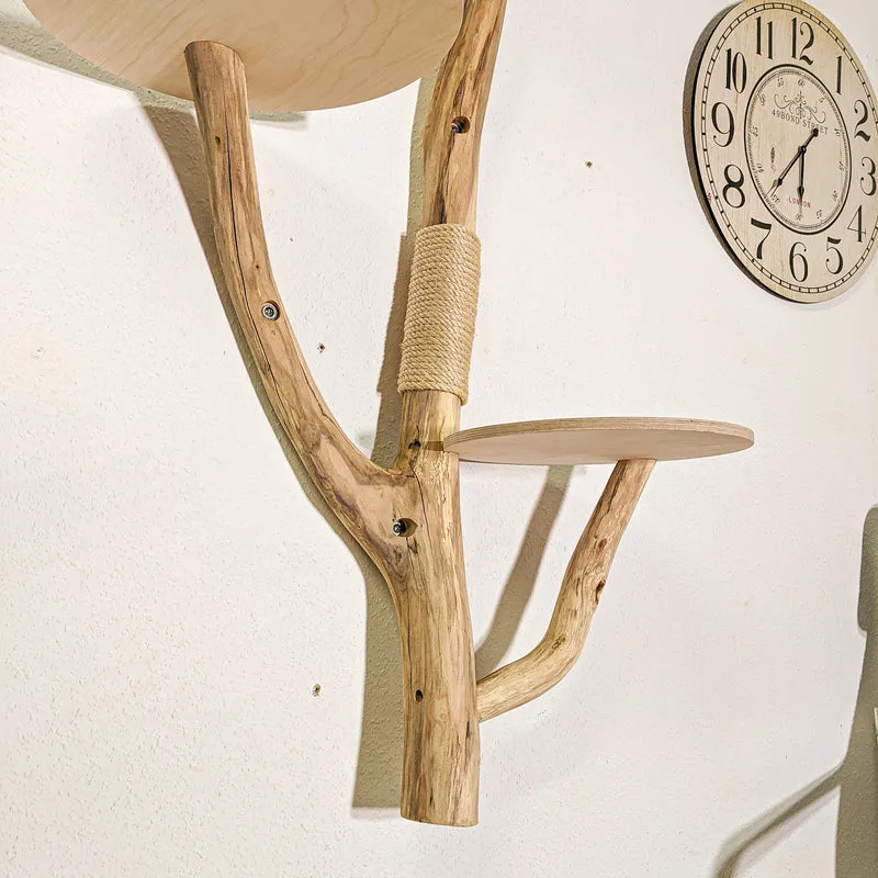 RESERVIERT - Wandkratzbaum 4392 Naturkratzbaum 142 cm Höhe Kratzbaum Natur Holz Design