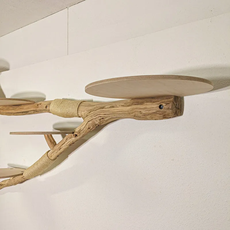 RESERVIERT - Wandkratzbaum 4389 Naturkratzbaum 255 cm Länge Kratzbaum Natur Holz Design