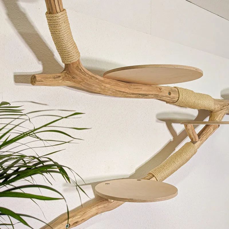 RESERVIERT - Wandkratzbaum 4389 Naturkratzbaum 255 cm Länge Kratzbaum Natur Holz Design