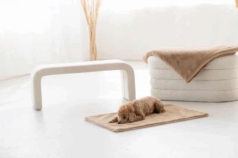 Hundedecke Webpelz Karamell