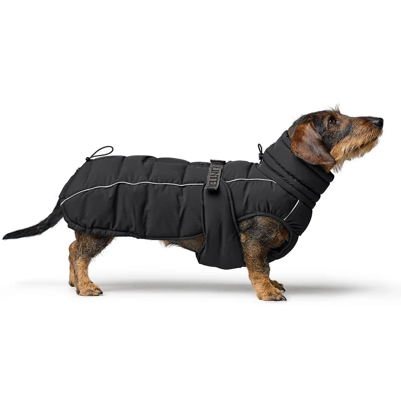 Hundemantel Paxson Dackel