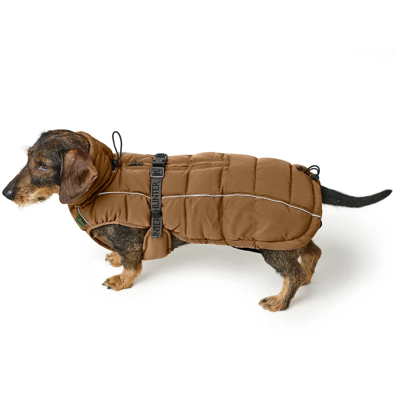 Hundemantel Paxson Dackel