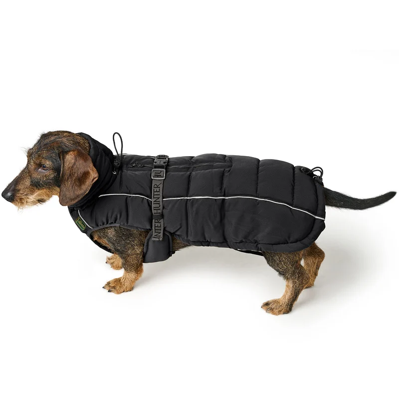 Hundemantel Paxson Dackel