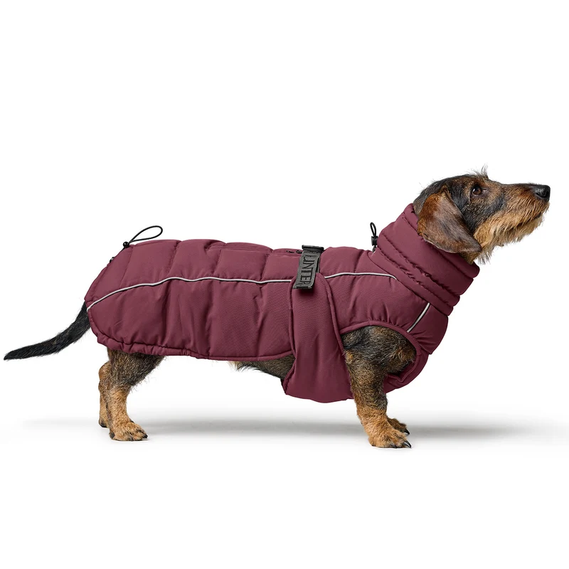 Hundemantel Paxson Dackel