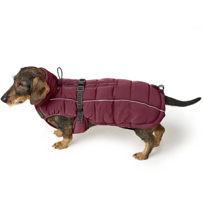 Hundemantel Paxson Dackel