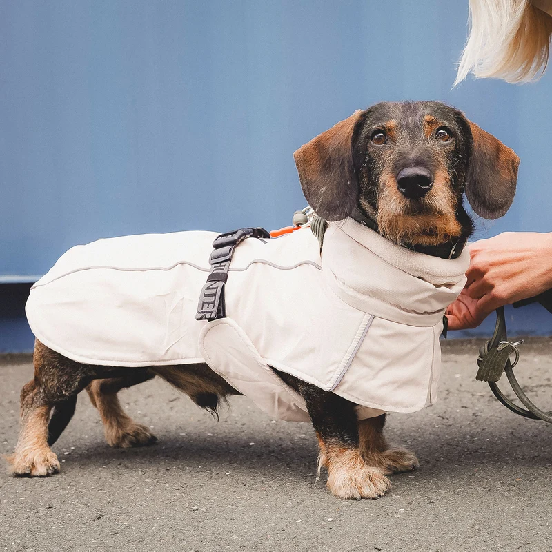 Hundemantel Nordby Dackel