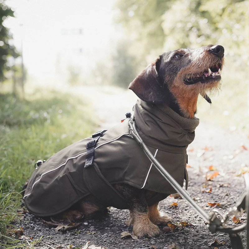 Hundemantel Nordby Dackel