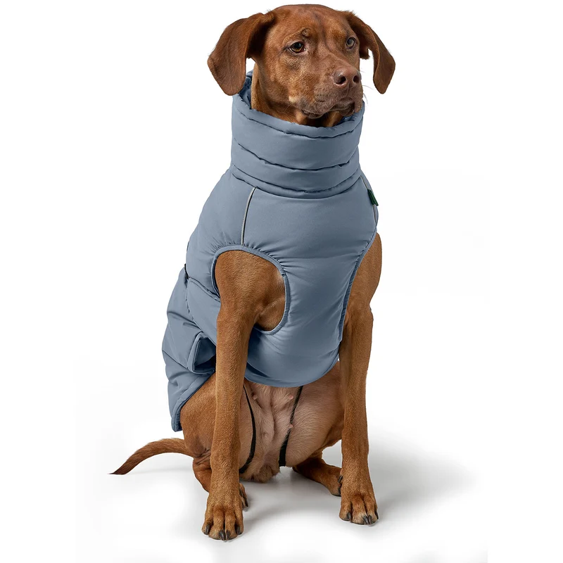 Hundemantel Paxson