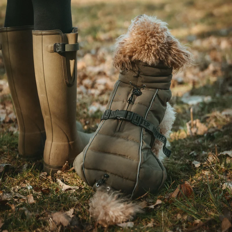 Hundemantel Paxson