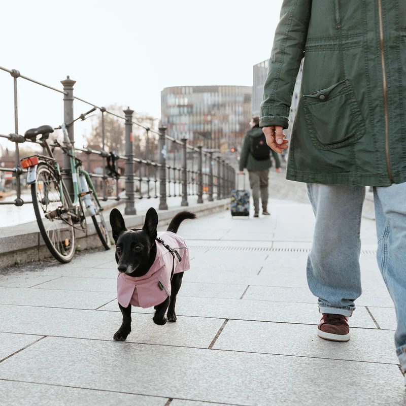Hundemantel Nordby