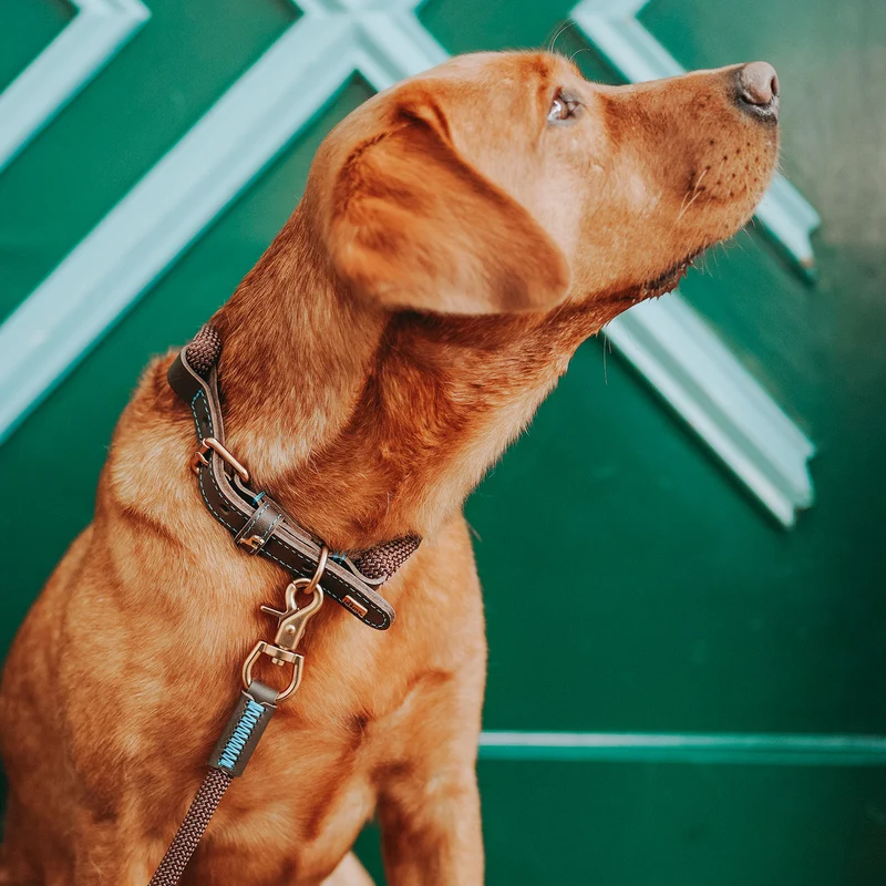 Halsband Malia