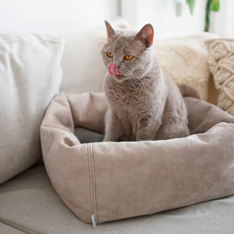 Katzenbett Dreamie
