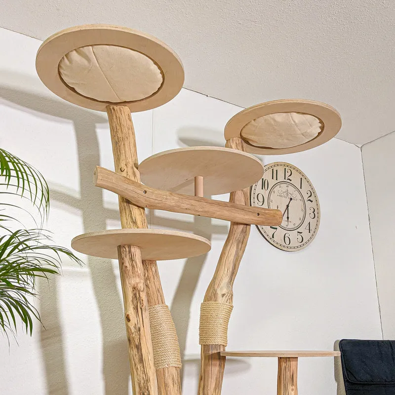RESERVIERT - BODENPLATTE ÖL - ABHOLUNG Naturkratzbaum 4381 Kratzbaum Natur Holz Design 205 cm hoch Katzenbaum
