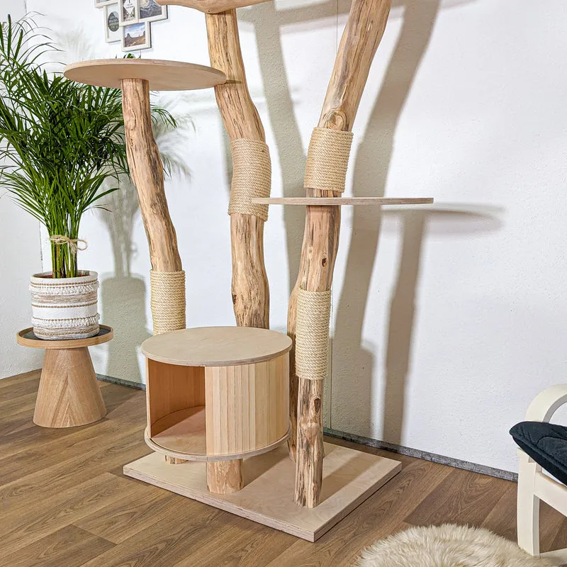 RESERVIERT - BODENPLATTE ÖL - ABHOLUNG Naturkratzbaum 4381 Kratzbaum Natur Holz Design 205 cm hoch Katzenbaum
