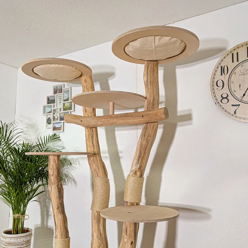 RESERVIERT - BODENPLATTE ÖL - ABHOLUNG Naturkratzbaum 4381 Kratzbaum Natur Holz Design 205 cm hoch Katzenbaum