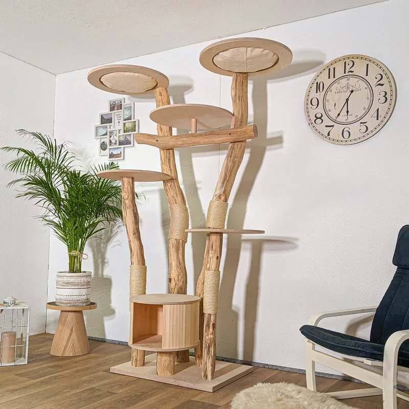 RESERVIERT - BODENPLATTE ÖL - ABHOLUNG Naturkratzbaum 4381 Kratzbaum Natur Holz Design 205 cm hoch Katzenbaum