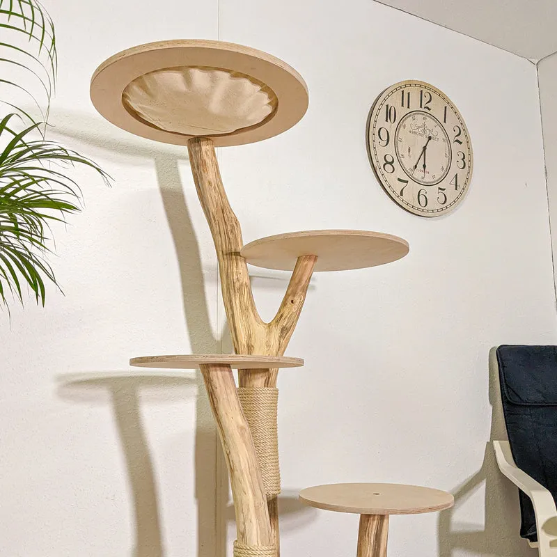 RESERVIERT - LIEFERUNG - Naturkratzbaum 4382 Kratzbaum Natur Holz Design 160 cm hoch Katzenbaum