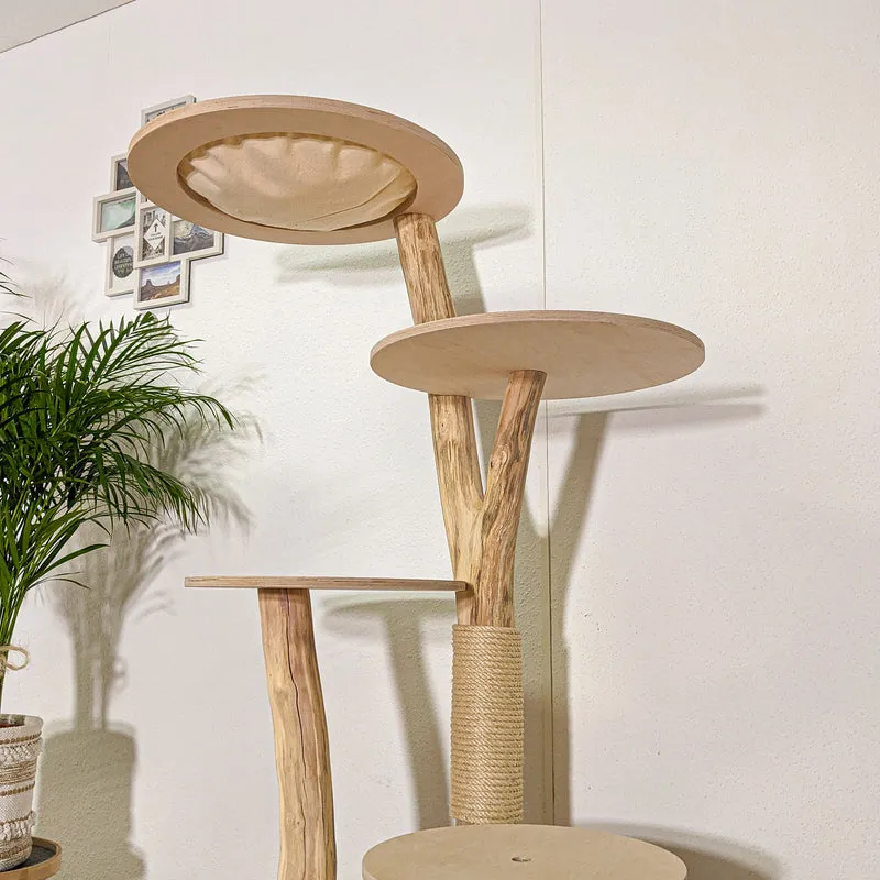 RESERVIERT - LIEFERUNG - Naturkratzbaum 4382 Kratzbaum Natur Holz Design 160 cm hoch Katzenbaum
