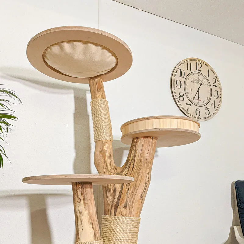 Naturkratzbaum 4386 Kratzbaum Natur Holz Design 165 cm hoch Katzenbaum