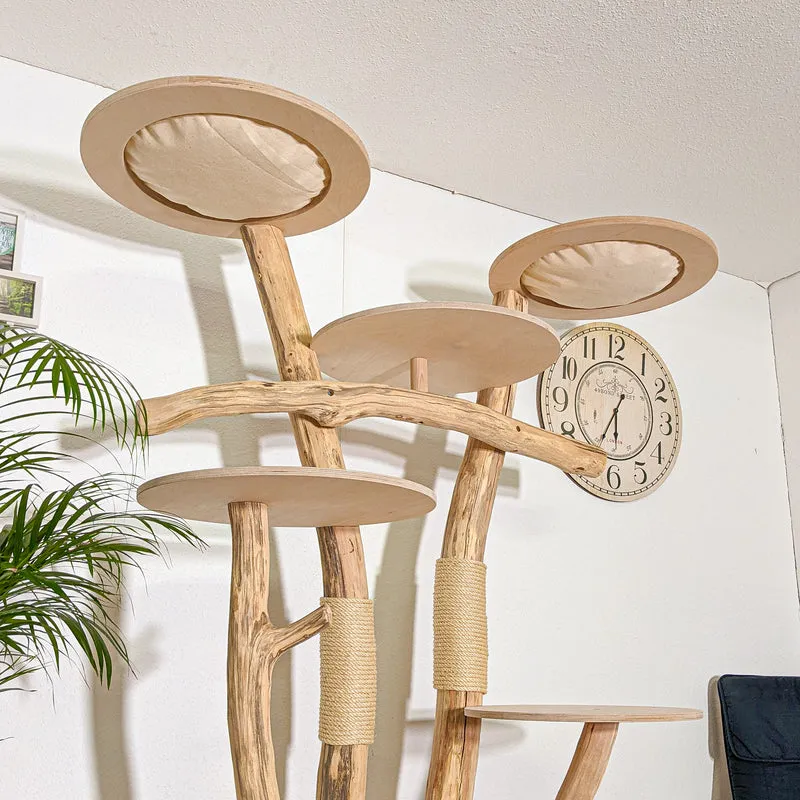 Naturkratzbaum 4388 Kratzbaum Natur Holz Design 205 cm hoch Katzenbaum