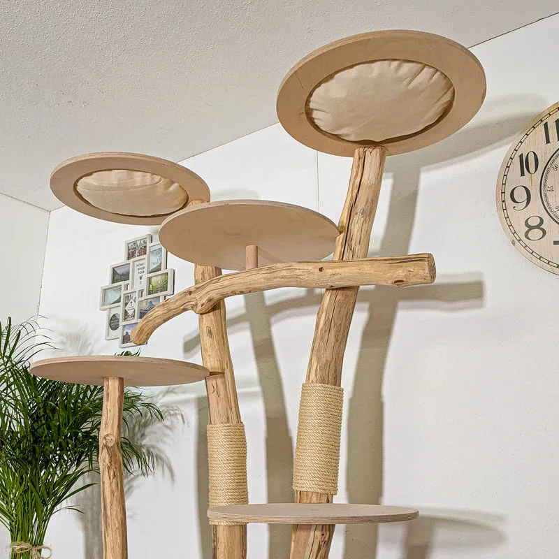 Naturkratzbaum 4388 Kratzbaum Natur Holz Design 205 cm hoch Katzenbaum