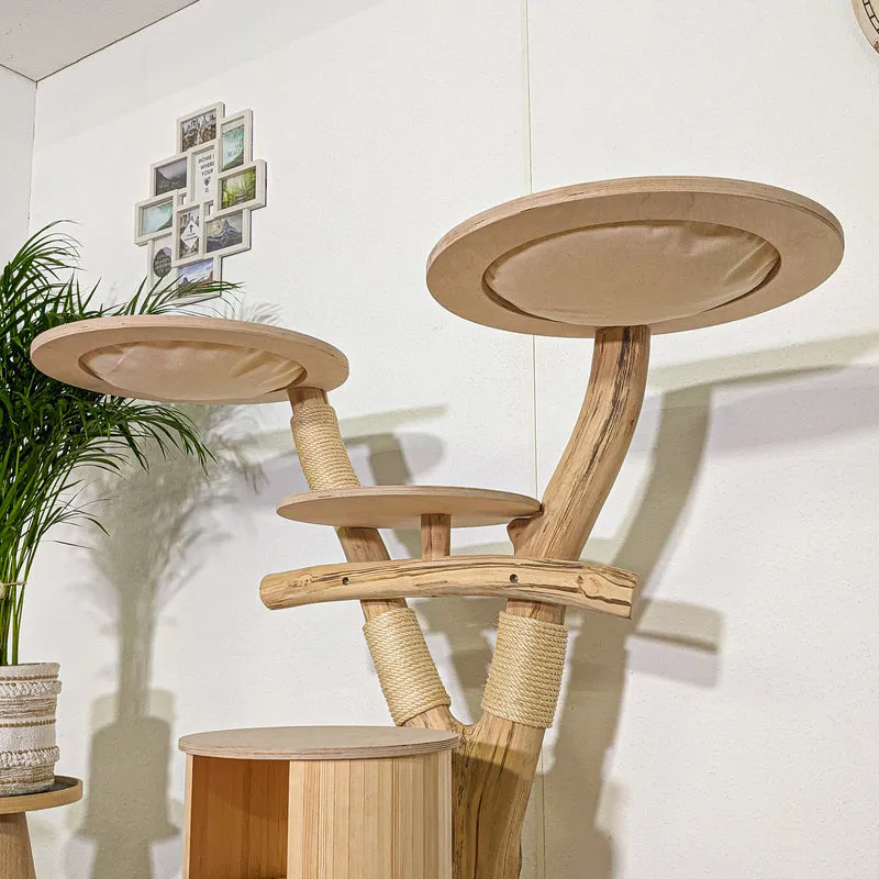 RESERVIERT - H+P - Naturkratzbaum 4346 Kratzbaum Natur Holz Design 120 cm hoch Katzenbaum