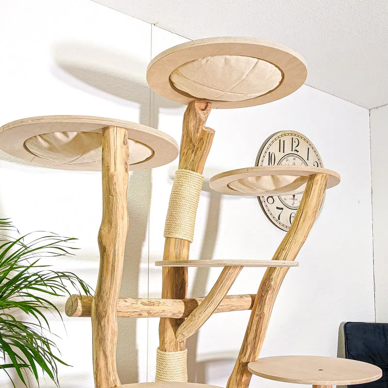 Naturkratzbaum 4377 Kratzbaum Natur Holz Design 200 cm hoch Katzenbaum