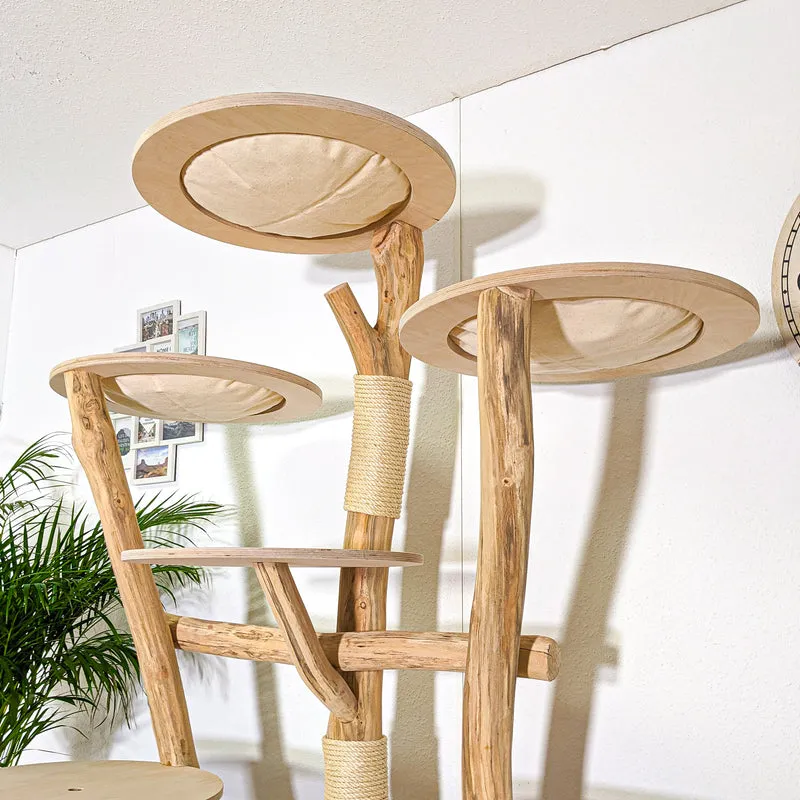 Naturkratzbaum 4377 Kratzbaum Natur Holz Design 200 cm hoch Katzenbaum