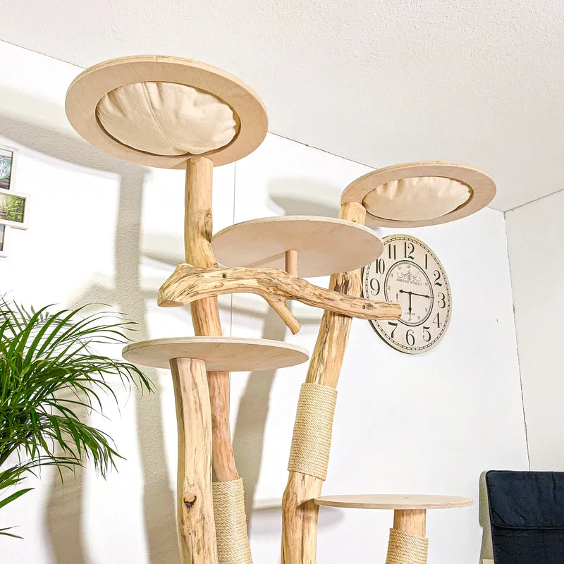 Naturkratzbaum 4374 Kratzbaum Natur Holz Design 204 cm hoch Katzenbaum