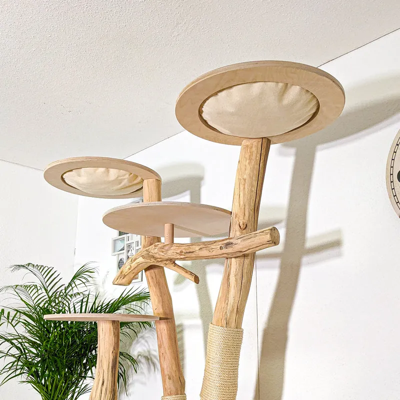 Naturkratzbaum 4374 Kratzbaum Natur Holz Design 204 cm hoch Katzenbaum