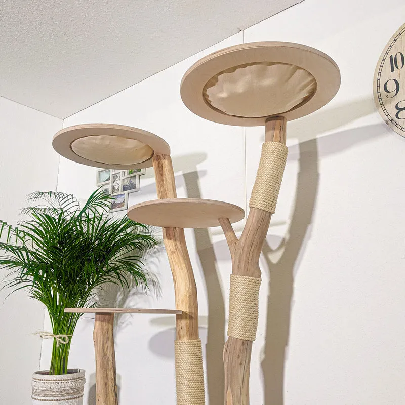 Naturkratzbaum 4355 Kratzbaum Natur Holz Design 175 cm hoch Katzenbaum