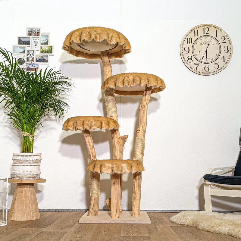 RESERVIERT + ÄNDERUNG - Naturkratzbaum 4364 Kratzbaum Natur Holz Design 175 cm hoch Katzenbaum