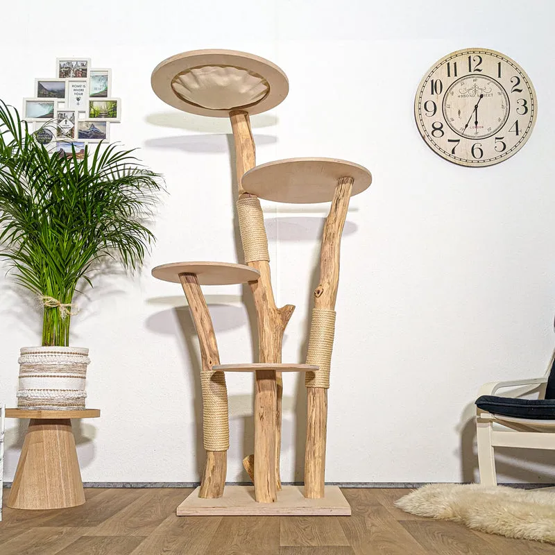 RESERVIERT + ÄNDERUNG - Naturkratzbaum 4364 Kratzbaum Natur Holz Design 175 cm hoch Katzenbaum