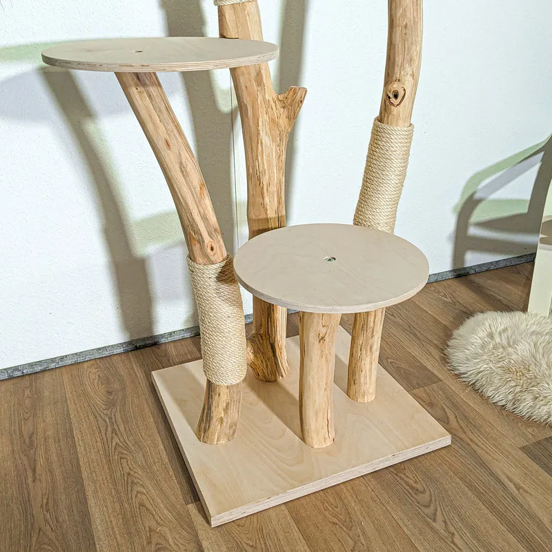 RESERVIERT + ÄNDERUNG - Naturkratzbaum 4364 Kratzbaum Natur Holz Design 175 cm hoch Katzenbaum