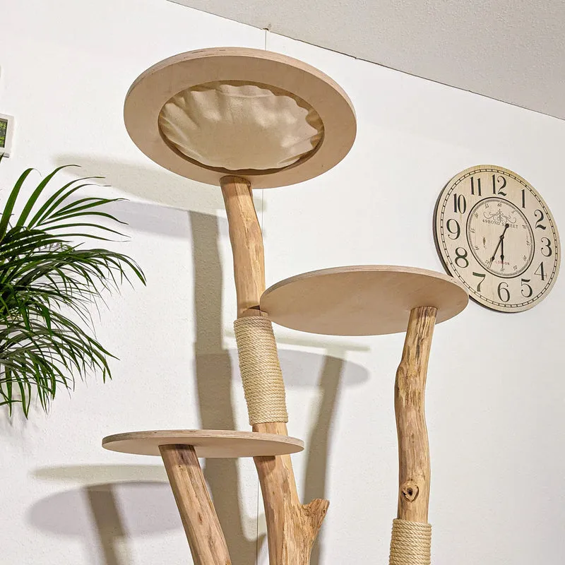 RESERVIERT + ÄNDERUNG - Naturkratzbaum 4364 Kratzbaum Natur Holz Design 175 cm hoch Katzenbaum