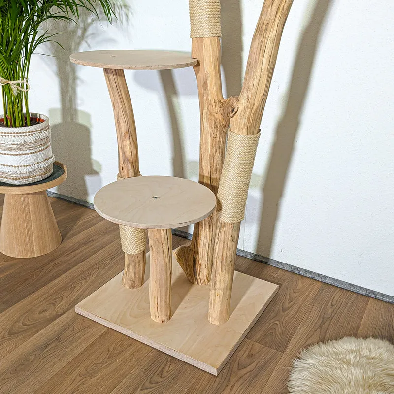 RESERVIERT + ÄNDERUNG - Naturkratzbaum 4364 Kratzbaum Natur Holz Design 175 cm hoch Katzenbaum