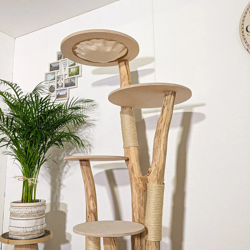 RESERVIERT + ÄNDERUNG - Naturkratzbaum 4364 Kratzbaum Natur Holz Design 175 cm hoch Katzenbaum