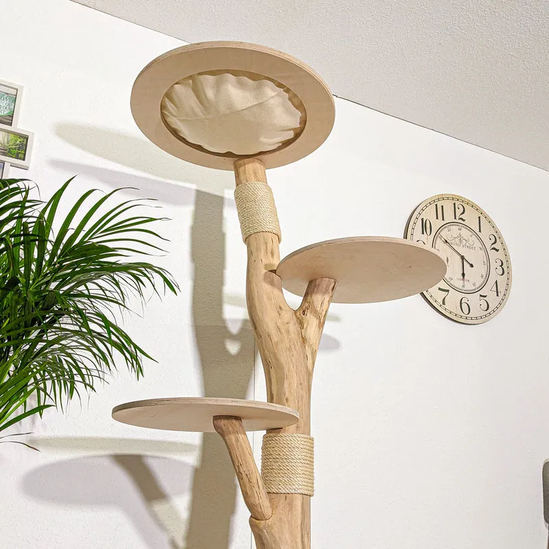 Naturkratzbaum 4361 Kratzbaum Natur Holz Design 188 cm hoch Katzenbaum