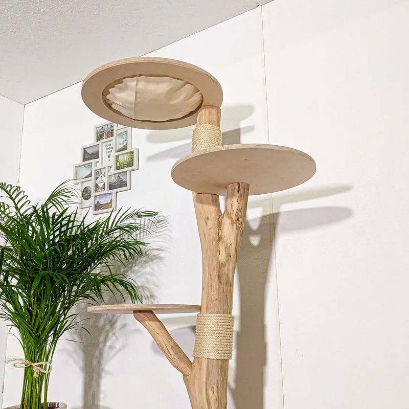 Naturkratzbaum 4361 Kratzbaum Natur Holz Design 188 cm hoch Katzenbaum