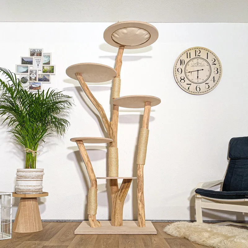 RESERVIERT - Naturkratzbaum 4360 Kratzbaum Natur Holz Design 205 cm hoch Katzenbaum