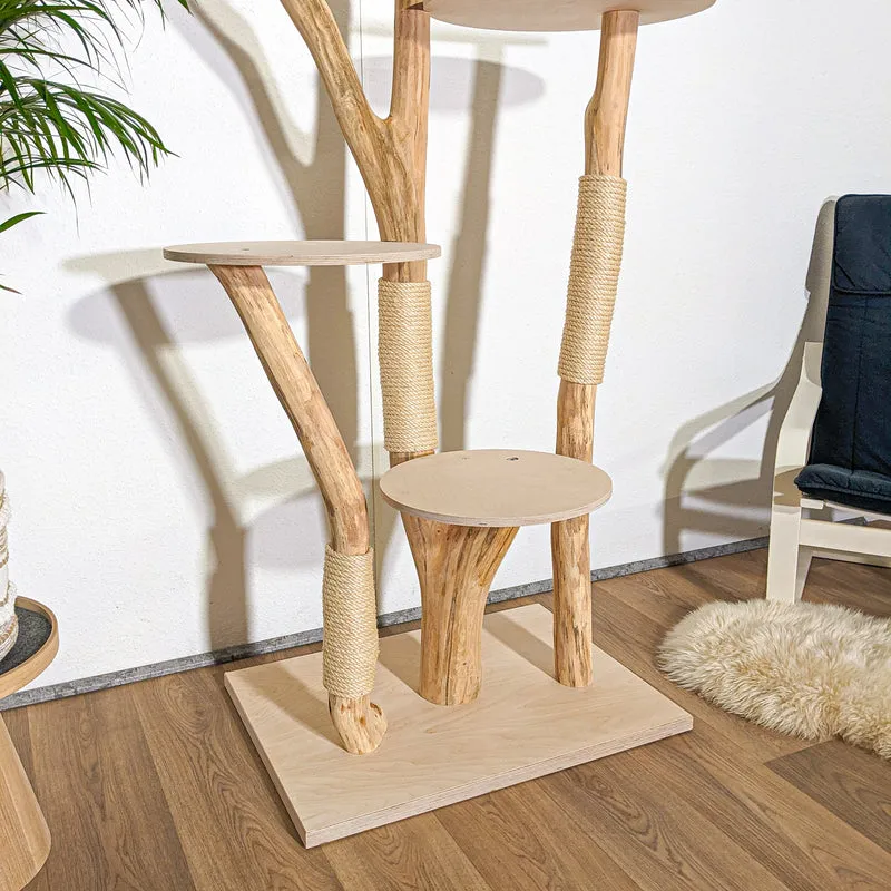 RESERVIERT - Naturkratzbaum 4360 Kratzbaum Natur Holz Design 205 cm hoch Katzenbaum