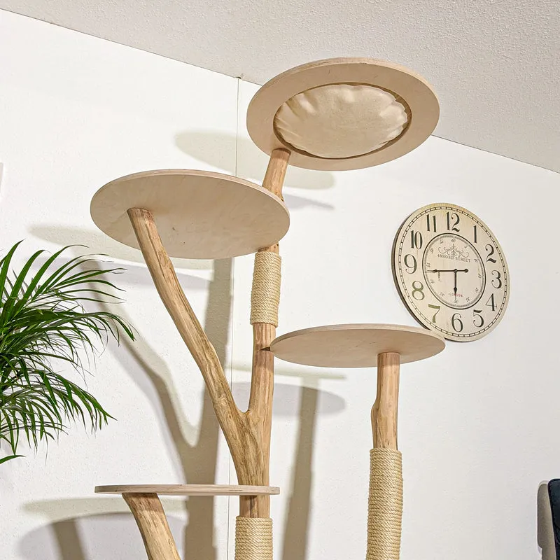 RESERVIERT - Naturkratzbaum 4360 Kratzbaum Natur Holz Design 205 cm hoch Katzenbaum
