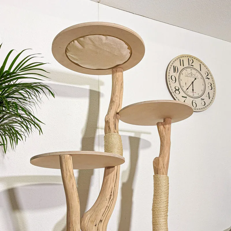 Naturkratzbaum 4359 Kratzbaum Natur Holz Design 165 cm hoch Katzenbaum