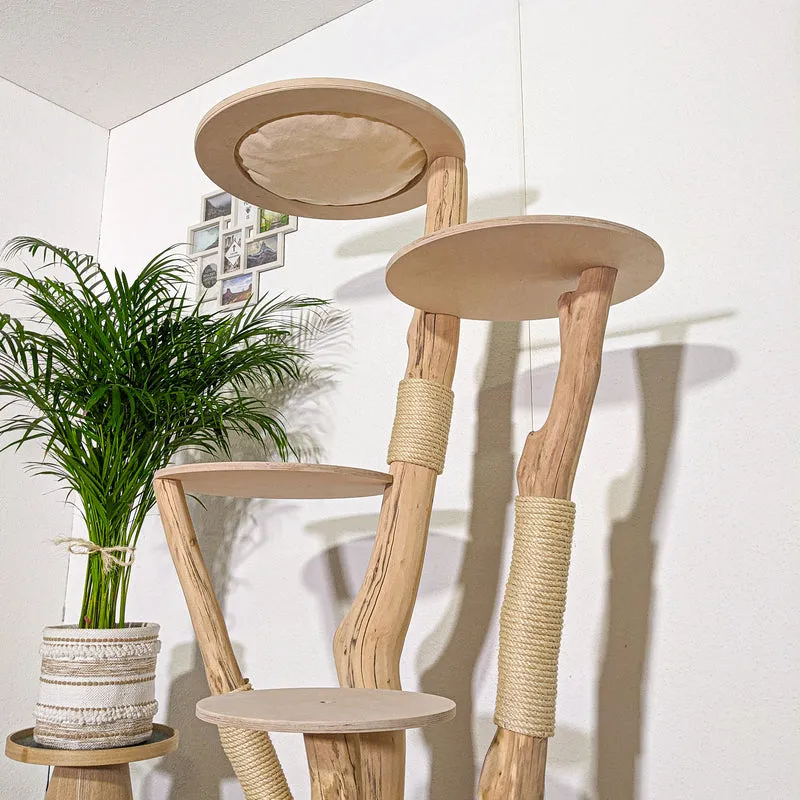 Naturkratzbaum 4359 Kratzbaum Natur Holz Design 165 cm hoch Katzenbaum