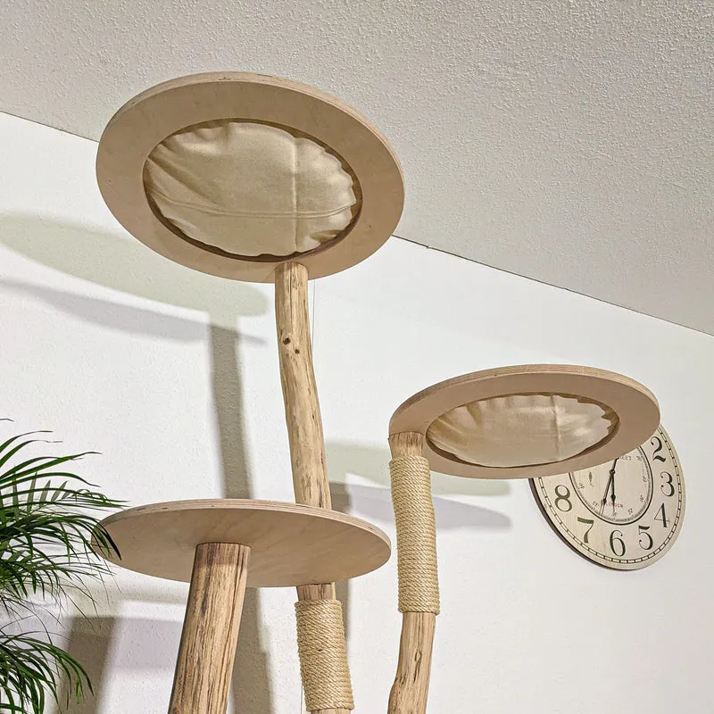 RESERVIERT - Naturkratzbaum 4354 Kratzbaum Natur Holz Design 205 cm hoch Katzenbaum