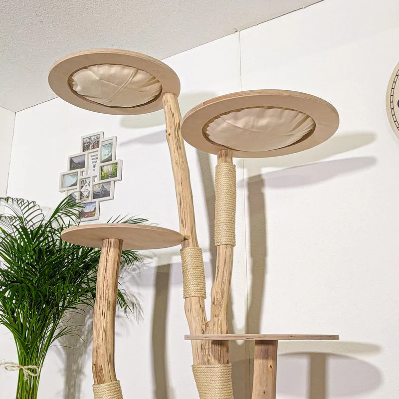 RESERVIERT - Naturkratzbaum 4354 Kratzbaum Natur Holz Design 205 cm hoch Katzenbaum