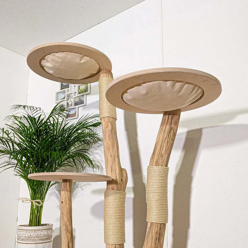 Naturkratzbaum 4353 Kratzbaum Natur Holz Design 175 cm hoch Katzenbaum